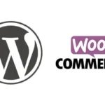 develop-or-customize-woocommerce-plugin-for-you.webp