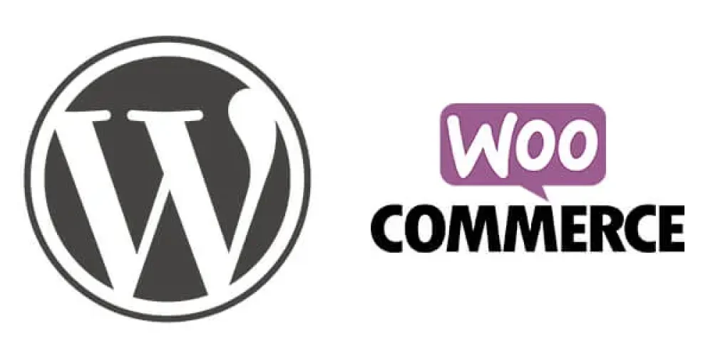 develop-or-customize-woocommerce-plugin-for-you.webp